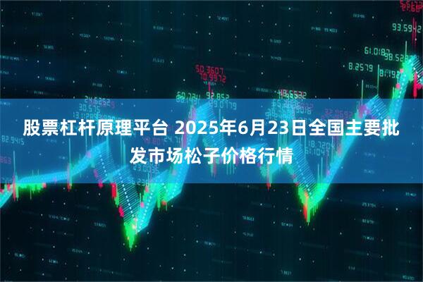 股票杠杆原理平台 2025年6月23日全国主要批发市场松子价格行情