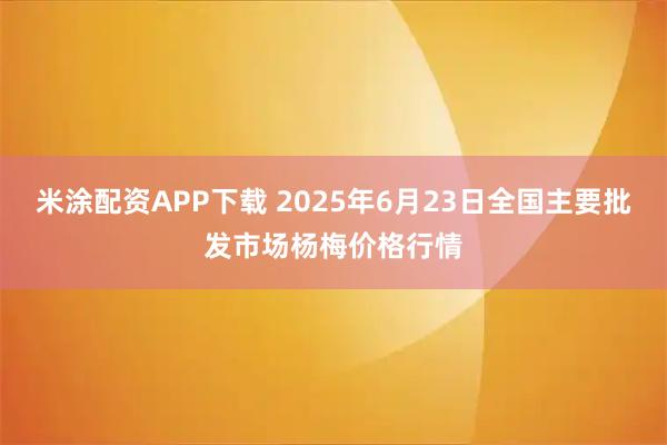 米涂配资APP下载 2025年6月23日全国主要批发市场杨梅价格行情
