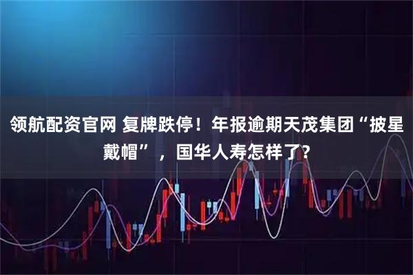 领航配资官网 复牌跌停！年报逾期天茂集团“披星戴帽” ，国华人寿怎样了？