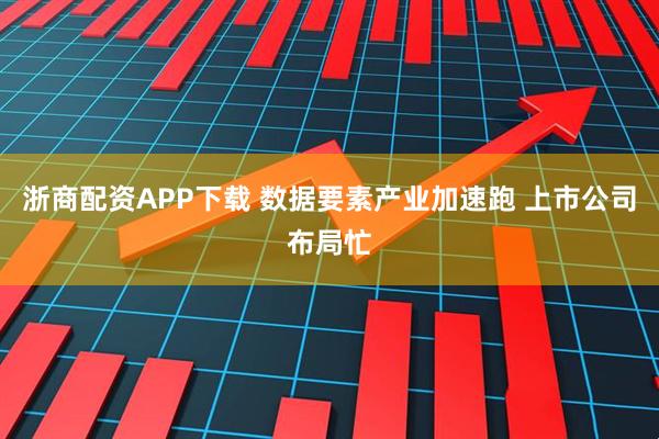 浙商配资APP下载 数据要素产业加速跑 上市公司布局忙