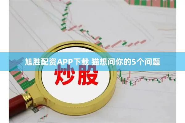 旭胜配资APP下载 猫想问你的5个问题